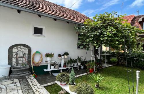 Niska Banja House | Smeštaj Pejčić