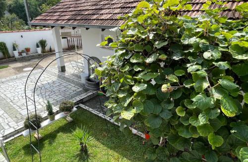 Niska Banja House | Smeštaj Pejčić