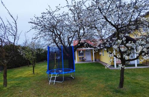 Palic House | Soba Milica