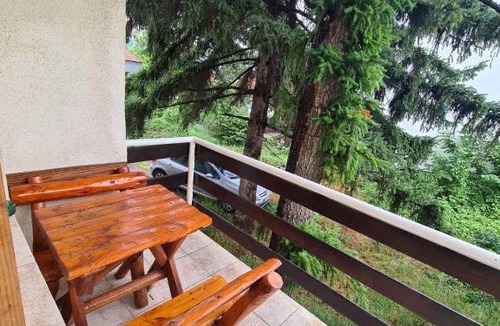 Soko Banja Apartment | Sokobanja apartments, Krajina