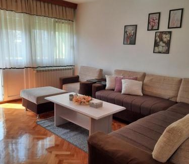 Vrsac Apartment | Stan na dan DUNJA 1