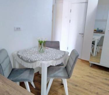 Vrsac Apartment | Stan na dan Ilvento 2