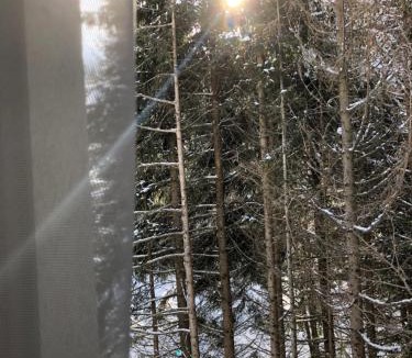 Kopaonik Apartment | Stara Bačija