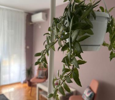 Grbavica Apartment | Studio Apartment Laganini