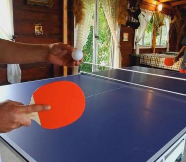 Petrovaradin House | Sunny Side Fruska Gora - veliko imanje sa kucom za odmor