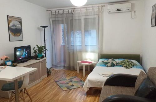 Novi Sad Apartment | Svilara