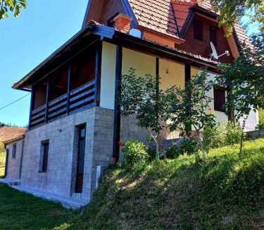 Bajina Basta House | TARA Vila Rajak