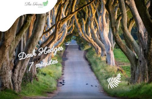 Armoy House | The Ferns-Ideal base for exploring the Causeway Coast
