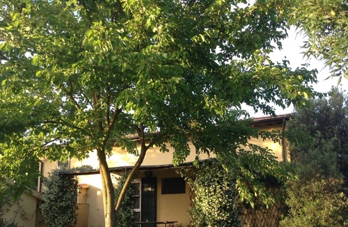 Manciano House | the house in the garden