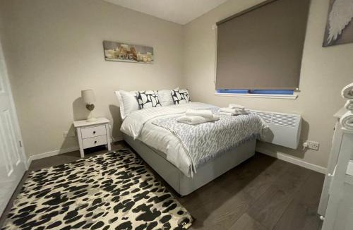 Alloa House | The Riverside