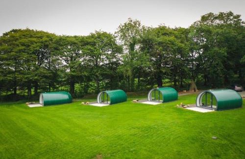 Ballymoney Other | Thornfield Farm Luxury Glamping Pods, The Dark Hedges, Ballycastle