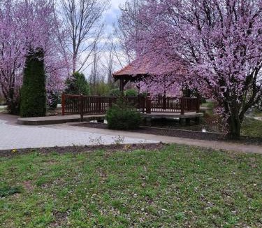 Central Banat District Apartment | Torontal