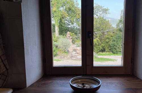 Furlo Apartment | Vacation apartment in the middle of paradise, on Monte Paganuccio/Marche. Nature and tranquillity.