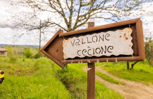 Greve in Chianti House | Vallone di Cecione