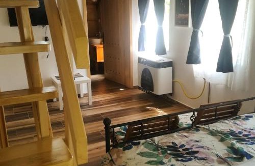 Petrovaradin Bed & Breakfast | Vila Davidovic-Fruska gora