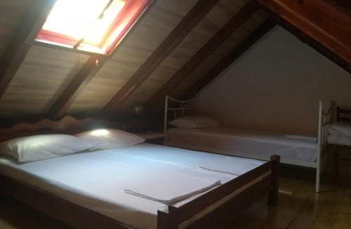 Petrovaradin Bed & Breakfast | Vila Davidovic-Fruska gora