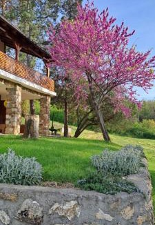 Sremski Karlovci Villa | Vila Felicita