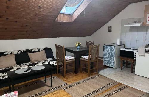 Soko Banja Apartment | Vila Lenka Sokobanja