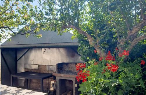 Crecchio House | Villa Antonina