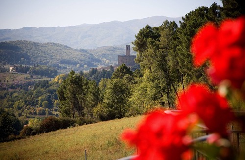 Poppi Villa | Villa Elisabetta close to Florence, private pool, park fenced