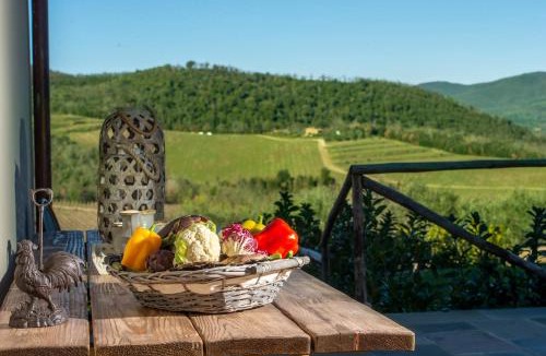 Panzano in Chianti House | Villa il Tinaio