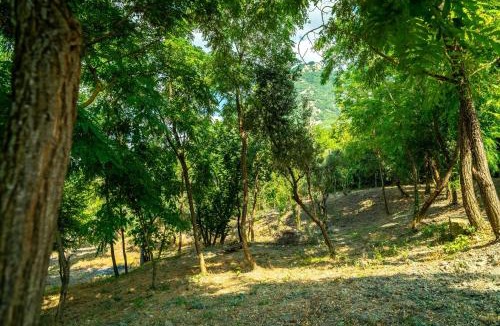 Chiusano di San Domenico Villa | Villa Romantica con Bosco sulla Strada dei Vini