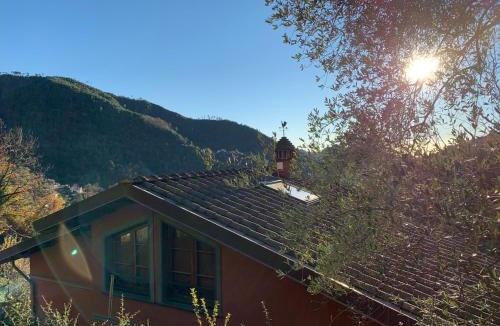 Montignoso Villa | Villa Vigna