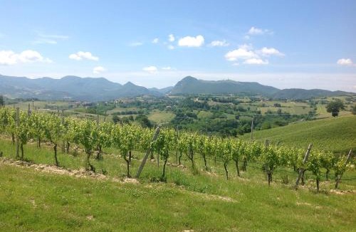 Rosora House | Vittoria Il Graditempo Country House
