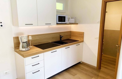 Idro Apartment | With terrace directly on the lake
