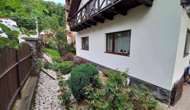 Accommodation in Sovata-Băi - peace, comfort and a view of the forest!