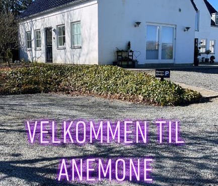 Anemone huset