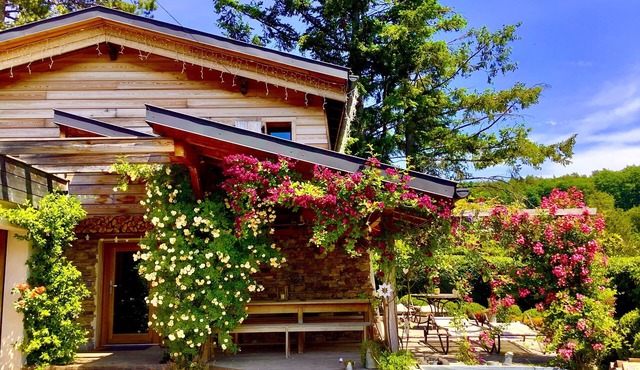 Chalet du Bickenberg in Osenbach near Colmar - playground - shared pool