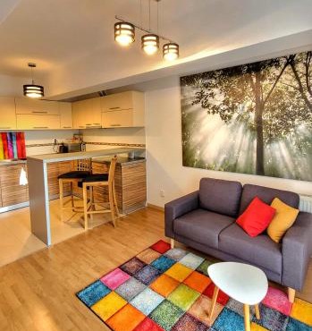 Cosy one bedroom apartment, close to Iulius Mall