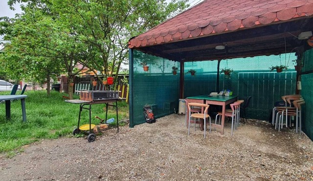 Fantastic 9-bedroom villa in Cluj-Napoca