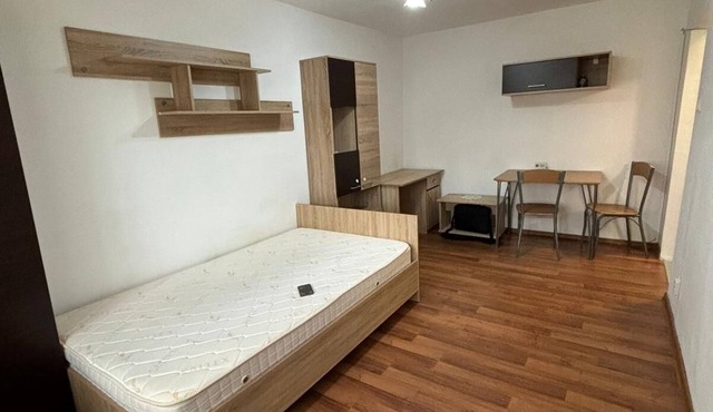 Garsoniera Garii- entire unit bedroom, bathroom and kitchen