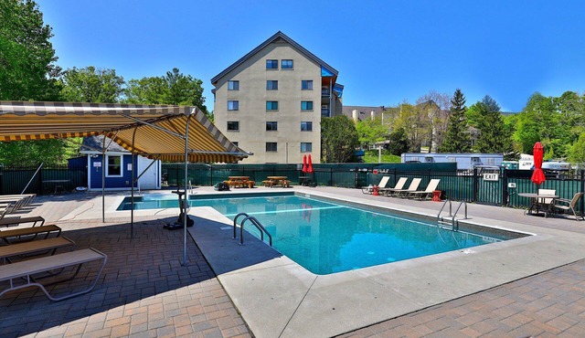 Newly Renovated Studio! Amazing Views/Location 3F9. Pool. Hot Tub, Shuttle.