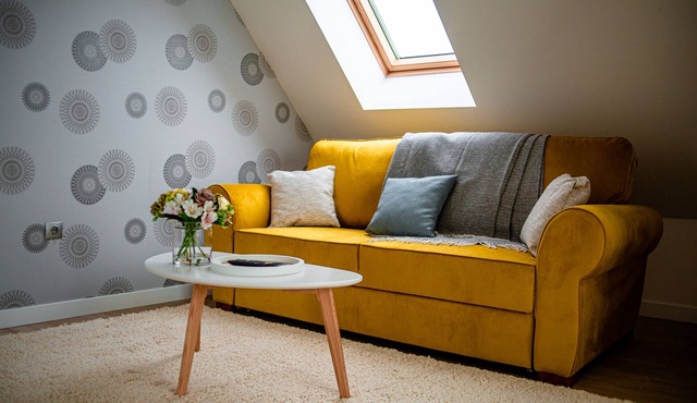 Private cozy attic in Cluj-Napoca central area !