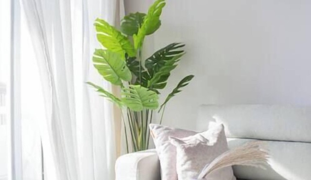 Seaview Condo in Saba Pasha - SP10