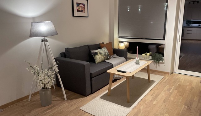 Smartliving apt. nearby Oslo airport. WI-FI, Parking incl.