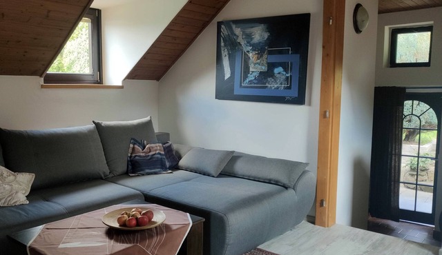 Unique attic with garden, library, bathtub, wifi & free parking