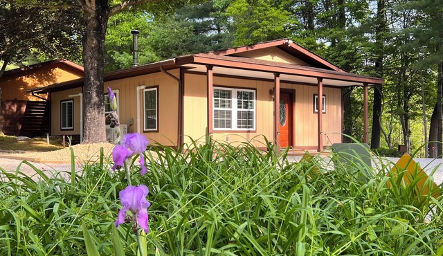 Walnut Cove GC - Biltmore Championship PGA! Stay at Oak Grove Cottage!