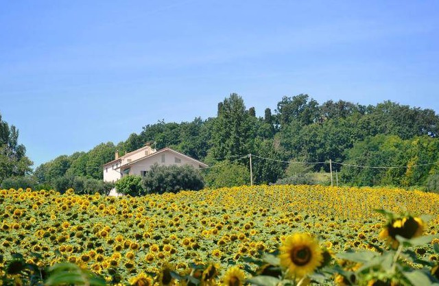 20 m² Bed and breakfast ∙ 2 guests