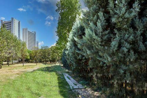 50 m² Apartment ∙ 1 bedroom ∙ 4 guests