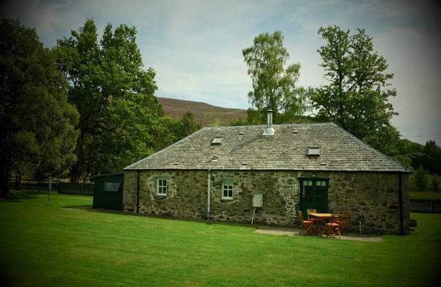 55 m² Cabin ∙ 1 bedroom ∙ 4 guests