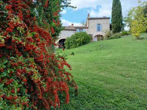 Agriturismo del Frontino - Lo Studio