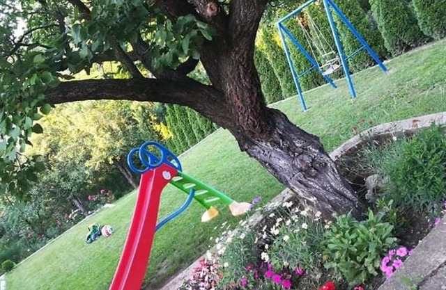 Apartman Milisavljevic