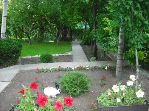 Apartmani Smiljanic Sokobanja