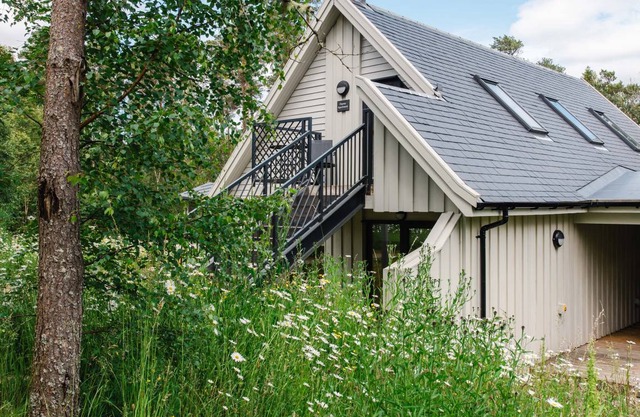 Cabin ∙ 1 bedroom ∙ 3 guests