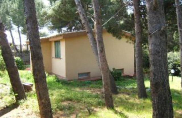 Campulongubeach