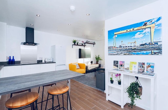 Cosy and modern apartment HEART OF BELFAST